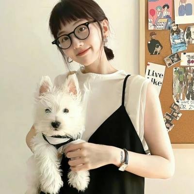 中国新相亲第三季